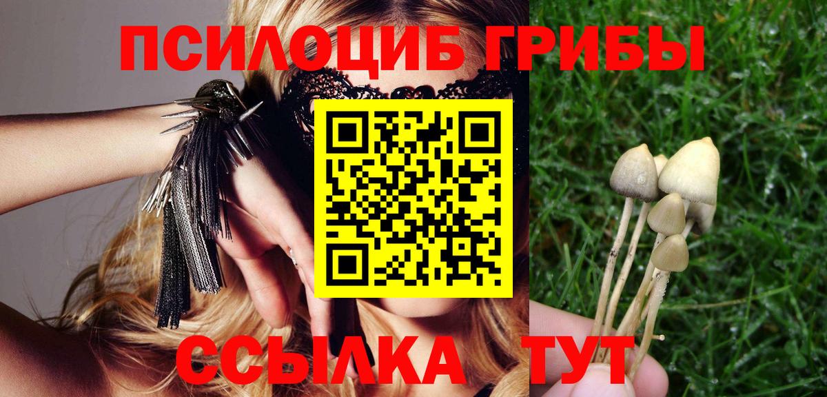 Галлюциногенные грибы GOLDEN TEACHER  Вход с VPN  Омск 
