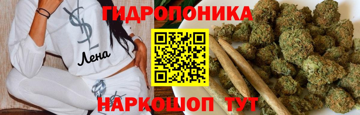 Конопля план  Бошки марихуана ГИДРОПОН  Вход с VPN  Омск  Каннабис Amnesia 